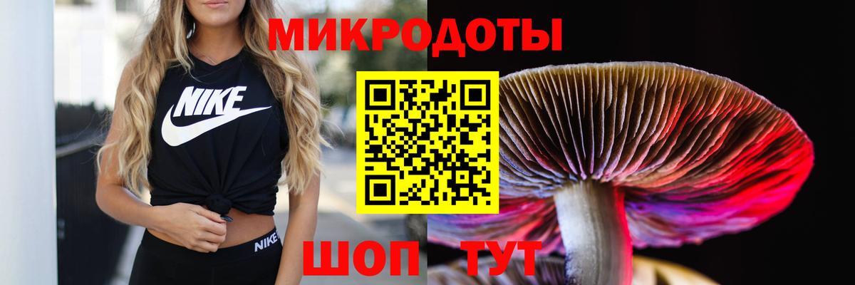 Городец  Псилоцибиновые грибы Cubensis  Вход с VPN  Псилоцибиновые грибы Psilocybine cubensis 